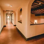 Acacia Firenze - Cocco